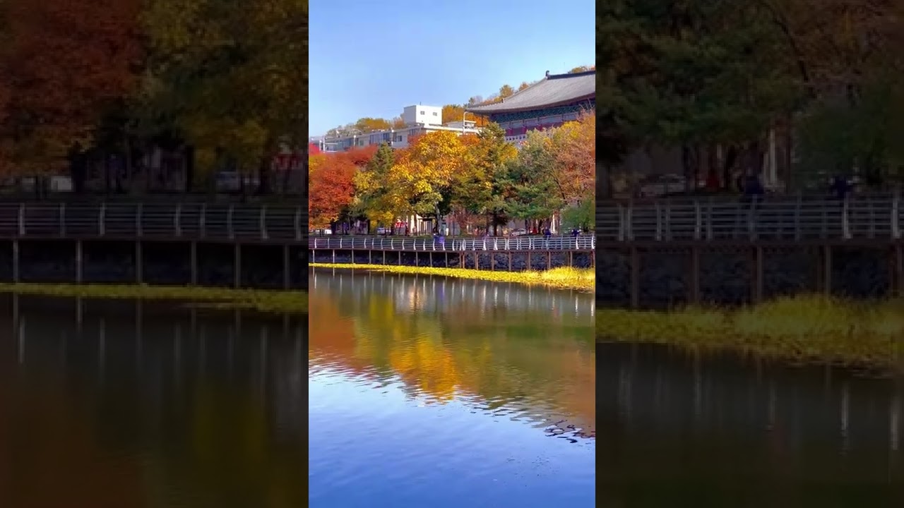 [Korea Travel - Daegu]  Enjoy the scenery of Seongdangmot pond @greem y