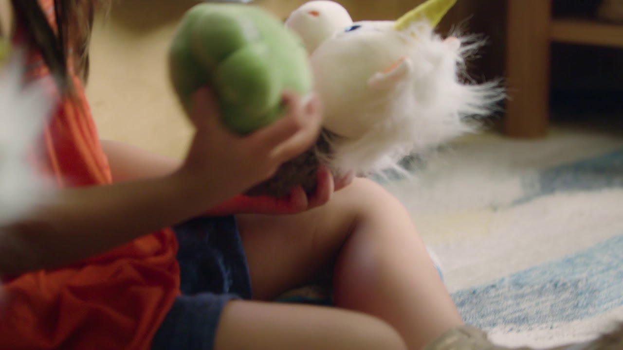 Meet Animoodles - Super Short