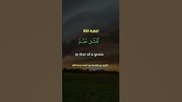 عبدالباسط عبدالصمد 🤍🤍🤍#تلاوة_خاشعة #قرآن #راحة_نفسية #quran #عبدالباسط_عبدالصمد