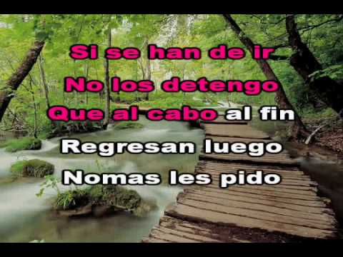 "Amigos Verdaderos" - Ramon Gonzalez (Karaoke - Pi...