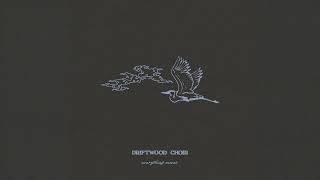 Driftwood Choir - Everything Moves (Official Audio)