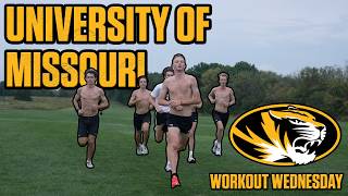 University of Missouri Cross Country Sharpens Up Before a Big Meet | Workout Wednesday