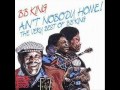 B.B. King - Ain&#39;t Nobody Home - 01 - Everyday I Have The Blues