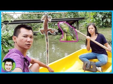 ป๊าบาส | เที่ยวนครปฐม The Tree Little Pig Farm วัดไร่ขิง