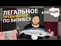 Бизнес ВНЖ в Польше для предпринимателя