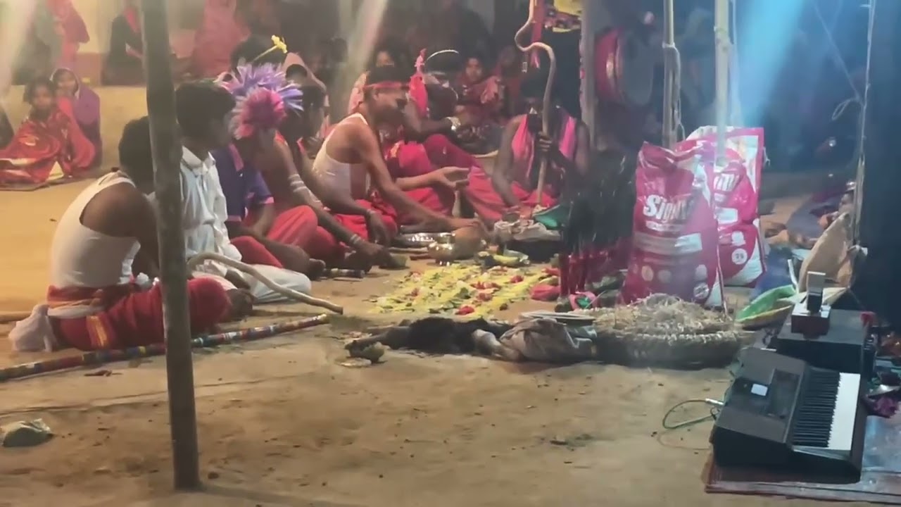 CHOTU MALI FULL COMEDY VIDEO!!!SAIDA DANDA PARTY!!RAMESH DHULIA