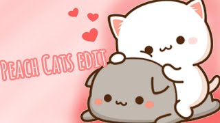 Peach Cats GIF edit