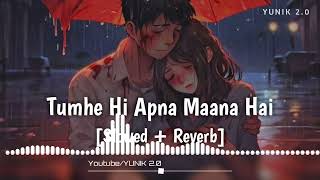 Tumhe Hi Apna Maana Hai (Slowed & Reverb) | Srikanth - Naraz Na Hua Karo Mujhse Lofi Song