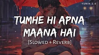 Tumhe Hi Apna Maana Hai (Slowed & Reverb) | Srikanth - Naraz Na Hua Karo Mujhse Lofi Song