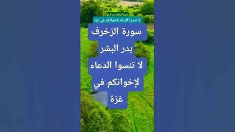 سورة الزخرف بدر البشر #الشيخ #القران_الكريم #القارىء #المصحف #تيك_توك  #حالات_واتس #اكسبلور