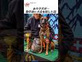 軍や警察が選ぶ理由