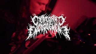 Cerebral Engorgement - H1N1 Cluster Fuckfest
