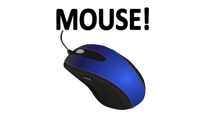 How Does a Mouse Work? - DayDayNews