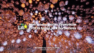 teamLab Borderless Teaser Video / チームラボボーダレス ティザー動画