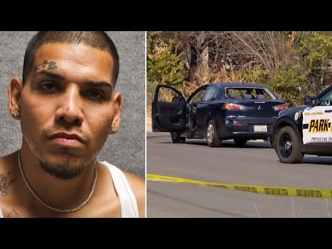 Wanted man arrested after shooting two officers trying to arrest him ...