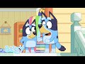 Mini bluey  episodio completo  bluey espaol canal oficial