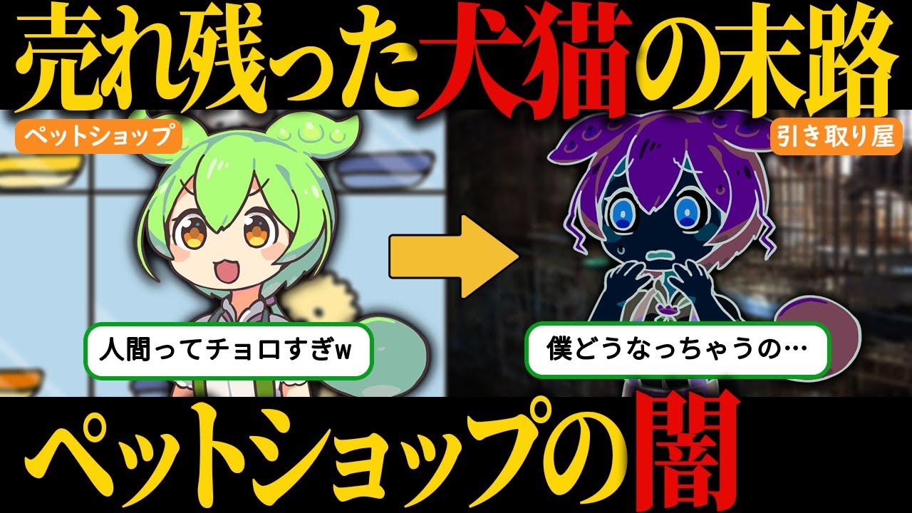 【生体販売】売れ残った犬猫はどうなるのか…ペット業界の黒い噂！【ずんだもん＆ゆっくり解説】