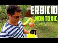 erbicid bio  erbicid natural weed killer