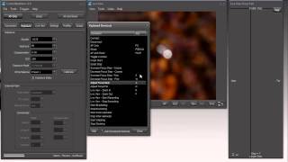 ControlMyNikon v3.0 -  Using the Focus Pad