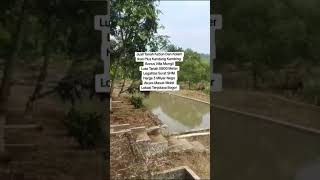 Dijual Tanah Kebun Dan Kolam Ikan Murah Plus Kandang Kambing Bonus Rumah Mungil Akses Masuk Mobil