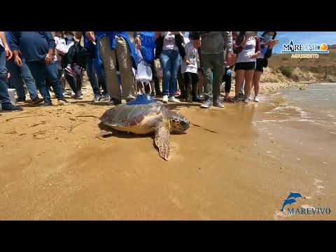 VOGLIAMO PUNTA BIANCA RISERVA NATURALE ORIENTATA