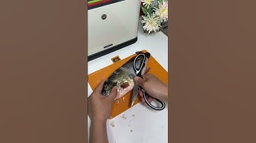 Multifunctional kitchen scissors that every family should have, really convenient for cooking