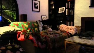 20140216 214105 Night With The Dogs 4/6