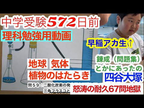 小5 早稲田アカデミー 四谷大塚組分けテスト 対策動画 - YouTube