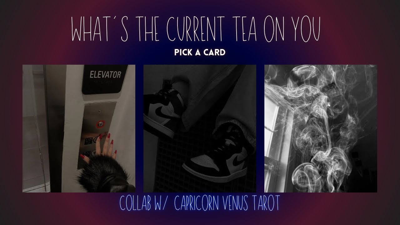 what’s the ✨current✨tea on you | pick a card