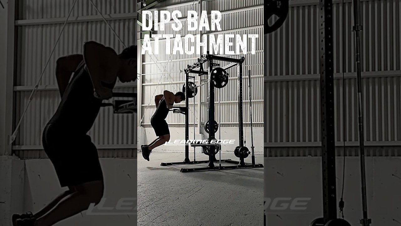 ディップスバー オプション DIP BAR OPTION 筋力トレーニング ブラック