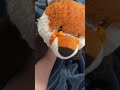 Fat babby😖 #autism #essa #stuffedanimals