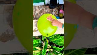 Dropping water balloons from high up  💧🎈🔥 #shorts #watermelon #satisfying #balloon
