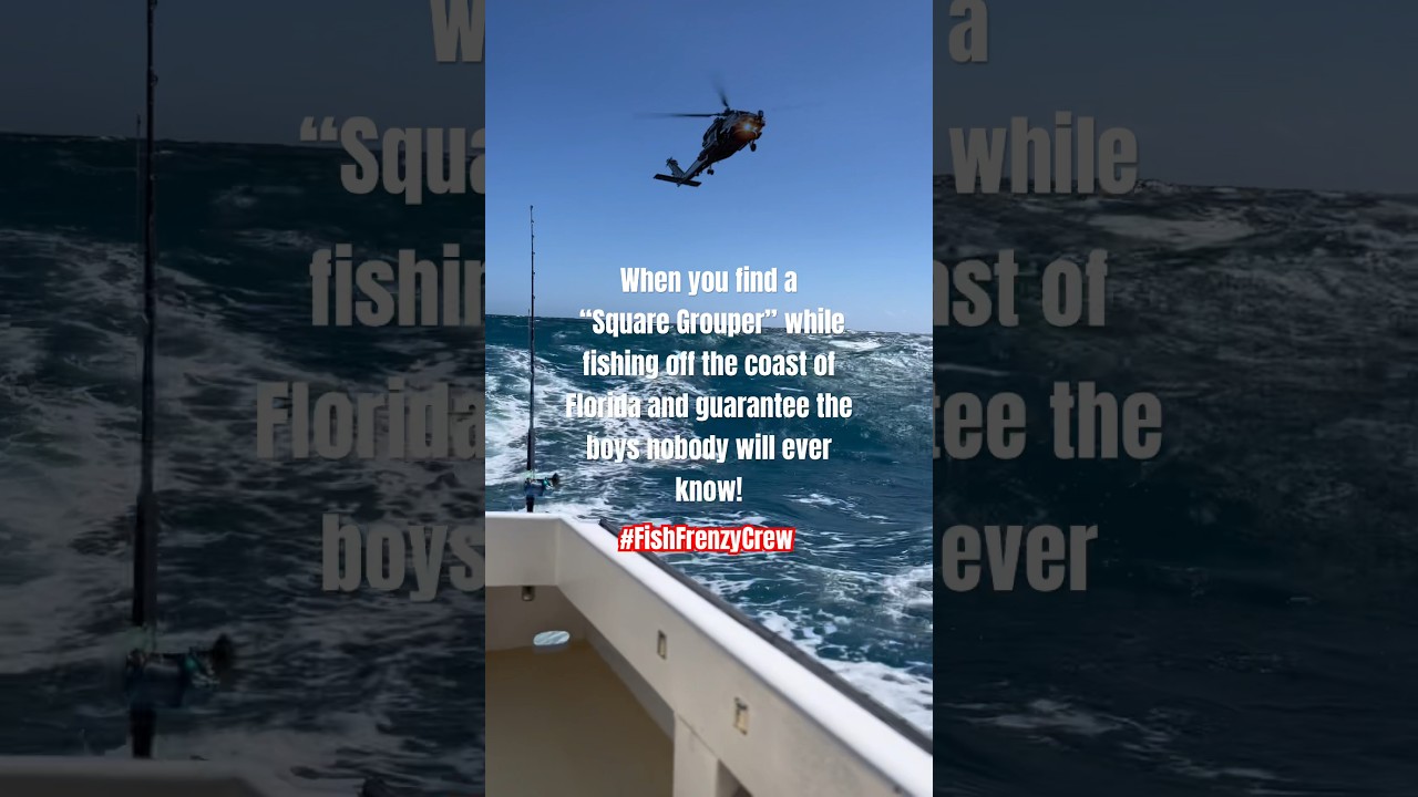 Cmon now… We know most square groupers are being watched or tracked. 