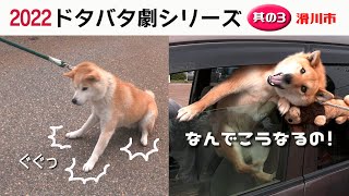 2022狂犬病予防注射会場のドタバタ劇・其の３ 滑川市編