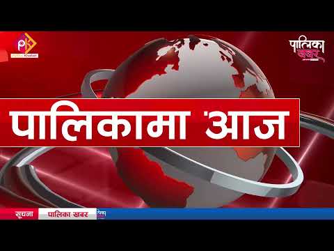 पालिकामा दिनभरः जथाभावी पार्किङ गरे ललितपुरमा कडाइ, भोक्राहाका अध्यक्षले पाए सफाइ (भिडियो खबर) 