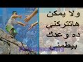 ترنيمة يا شارينى بالدم الغالى 21 11 2017 