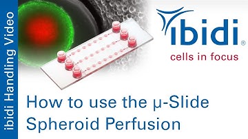 How to Use the µ Slide Spheroid Perfusion