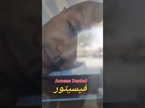 أوعى تروح مراسى السنه ديه قبل ما تعرف الكلام ده