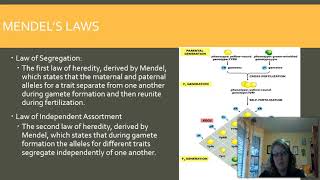 B204  Chapter 19 Part 2 FA16