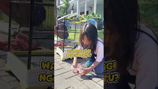 SIAPA YANG BERANI MEGANG JANGKRIK KAYA LEIKA 🫣🙀#leika #viral #trending #shorts