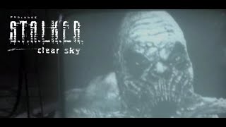 Конец. Сталкер. \\\ STALKER: clear sky #17