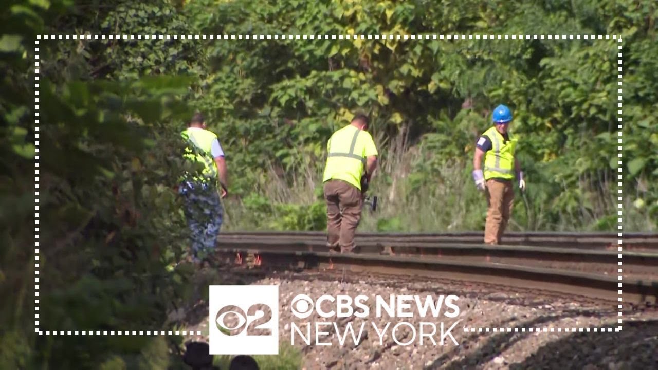 nj-transit-s-main-bergen-line-delayed-due-to-downed-power-line-youtube