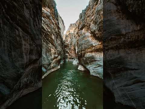 أيه تحكي مشهد مهيب من يوم القيامة يا لطيف الطف بنا يا رب