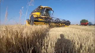 Moissons d'orge 2017 !! HD | Aymeric agripassionHD