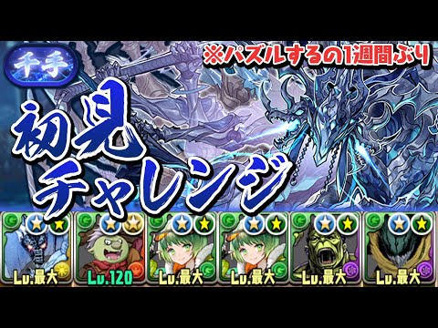 1週間ぶりにパズルする男が挑む新千手チャレンジ初見プレイ【パズドラ】