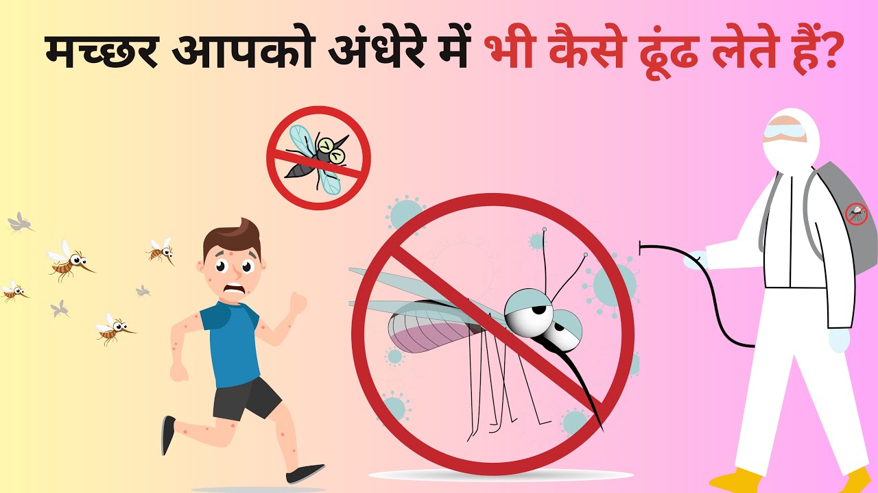 The Mystery How Mosquitoes Find You Even in the Dark! mosquitoes