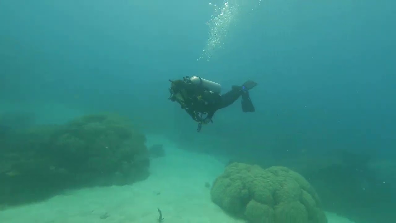 Australia Diving Dive 9