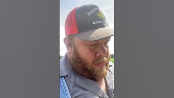 Storen Herbicide Test Plot! #herbicides #spray #corn #farmtok #farmtokk #plant24 #farmer #weed