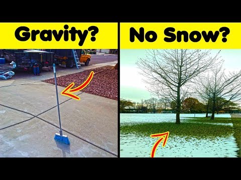 The Niacruzxo Phenomenon Explained