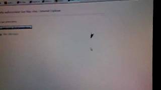 Amazing! Smart Fly trying to catch the PC mouse pointer! - Radioo.net